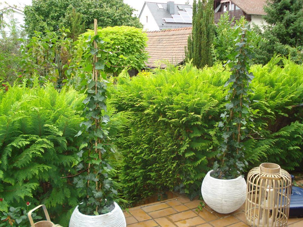 Ferienwohnung Sartorius Bensheim Oda fotoğraf